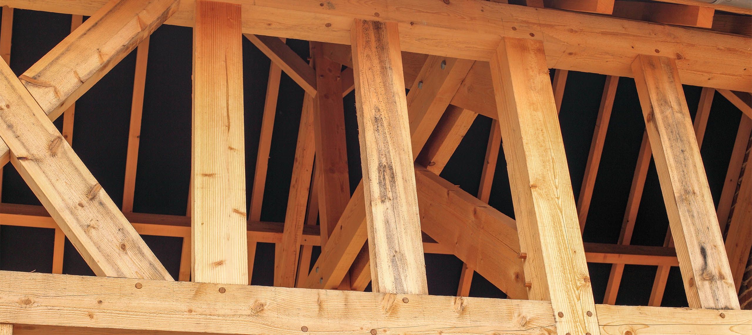 Realizacje konstrukcje drewniane